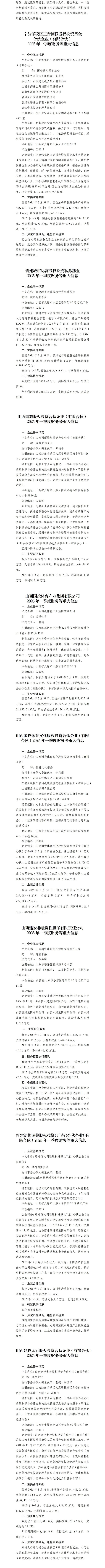 上海荣大投资治理有限公司及所属子公司2025年一季度财务等重大信息-402cc永利集团