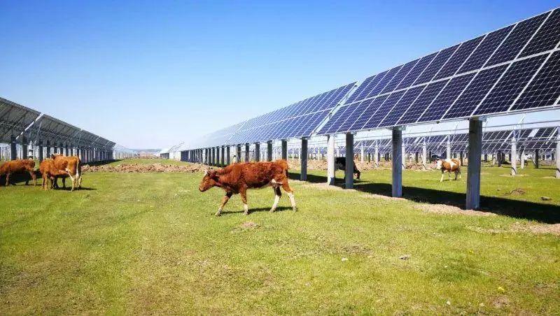 量质齐升：要害之年，， 建投集团实现首季“开门红”-402cc永利集团