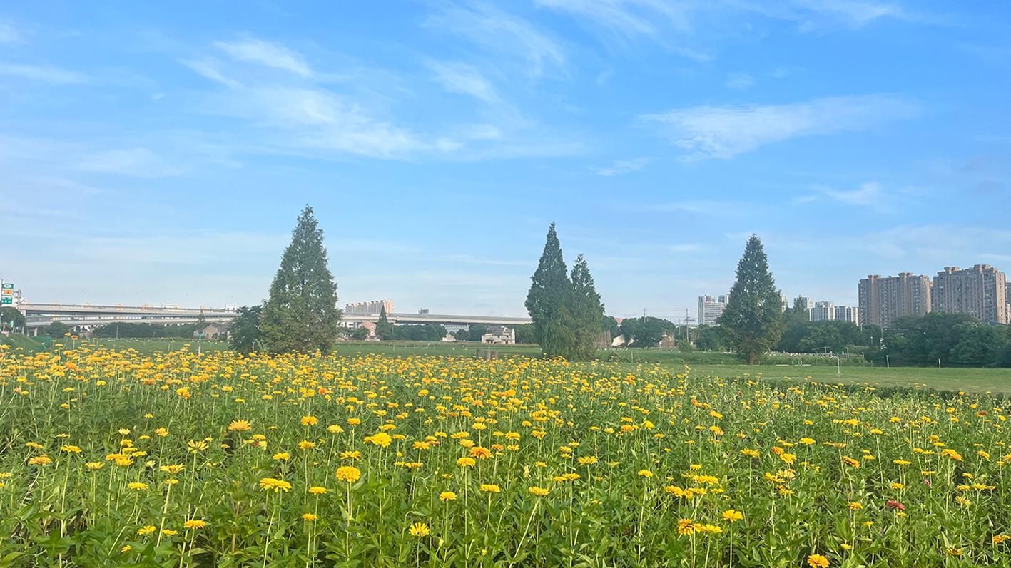 山西建投四建集团亚运会周边情形提升工程完工并通过验收-402cc永利集团