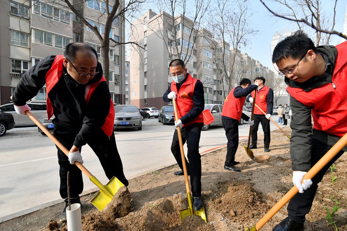 山西建投四建集团开展义务植树活动-402cc永利集团